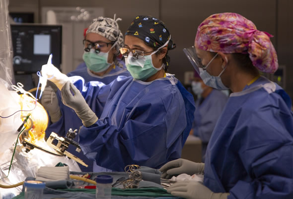 Anita Bhansali, M.D., Angela Meraz, and Chi Purkey