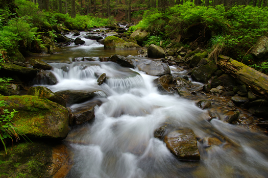 Waterfall